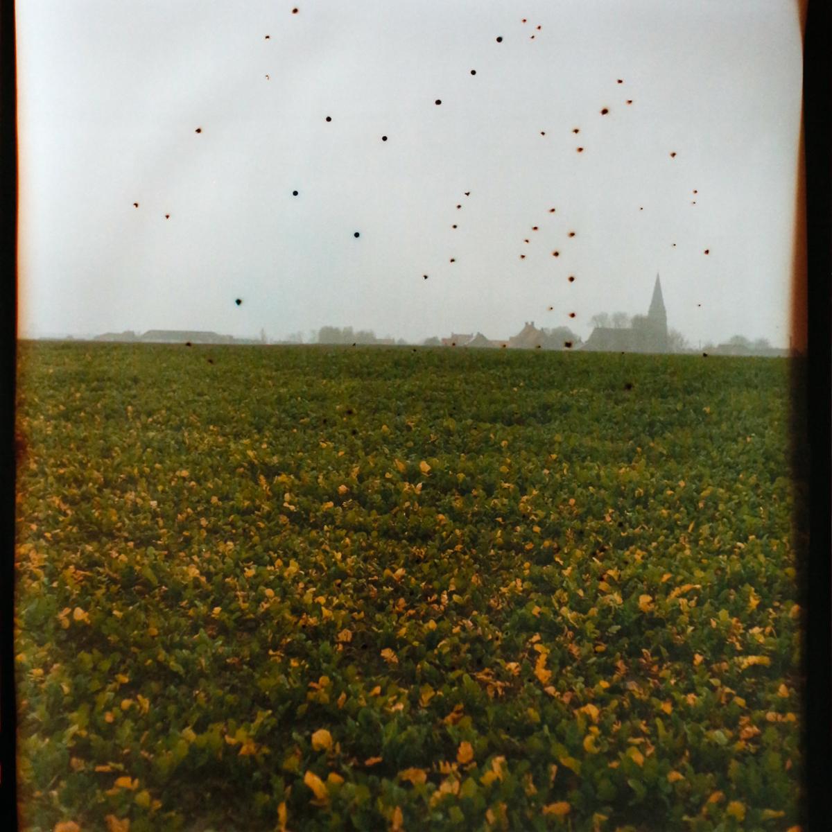 FLANDERS FIELDS BELGIUM,  ED. 1/1, 2014, image 2